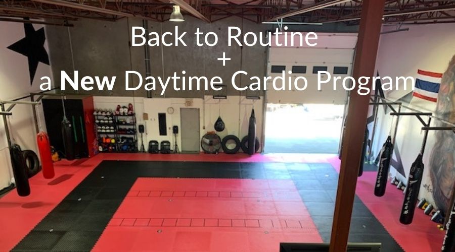 Back to routine plus a new cardio program